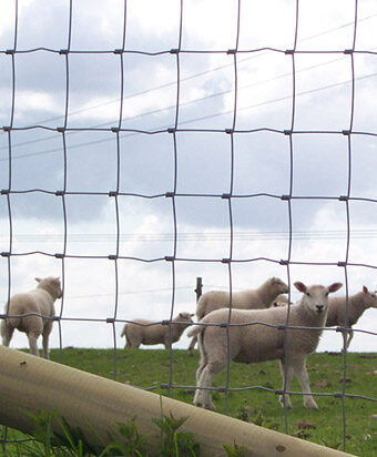 Agricultural Fencing