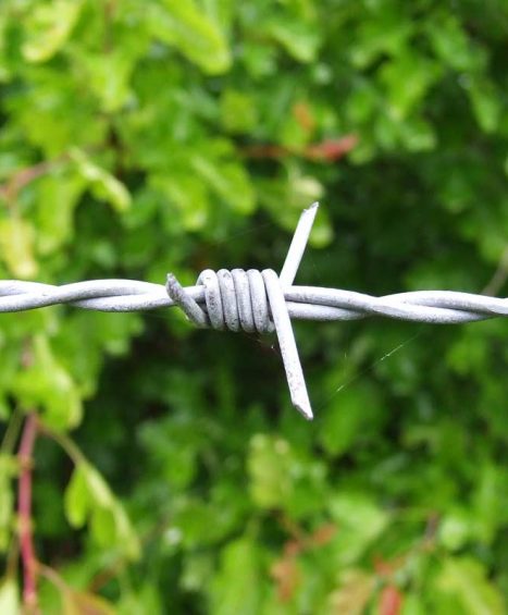 Barbed Wire