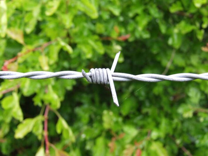 Barbed Wire