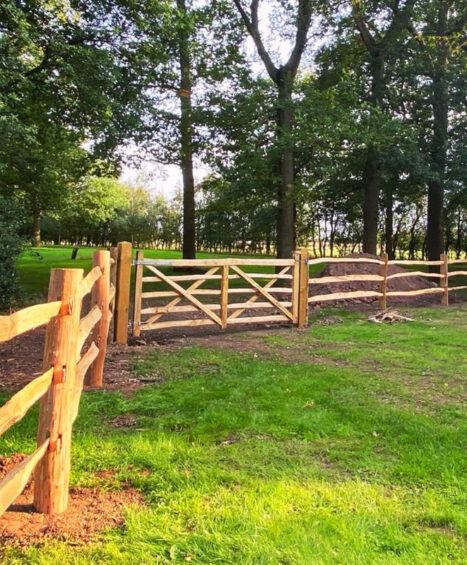 Cleft Chestnut Posts and Rail