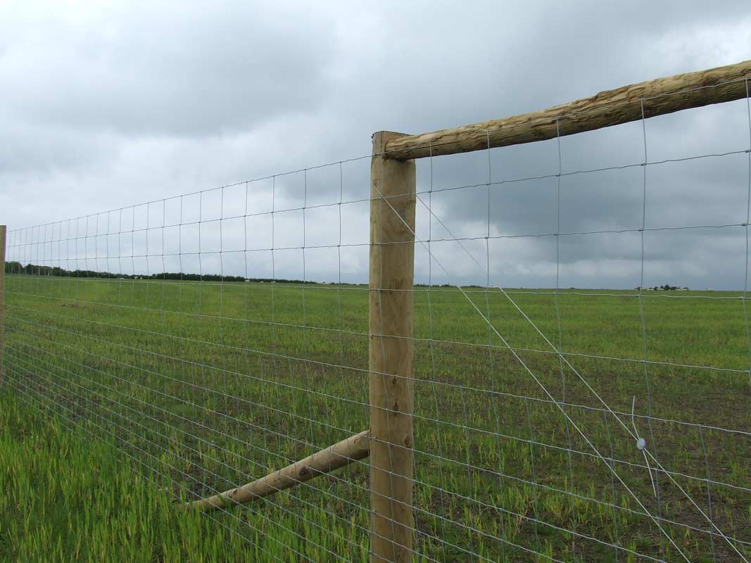 Deer Netting - Wire & Stock Fencing | Agricultural Fencing | Ashford Kent
