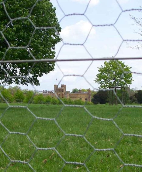 Rabbit Netting