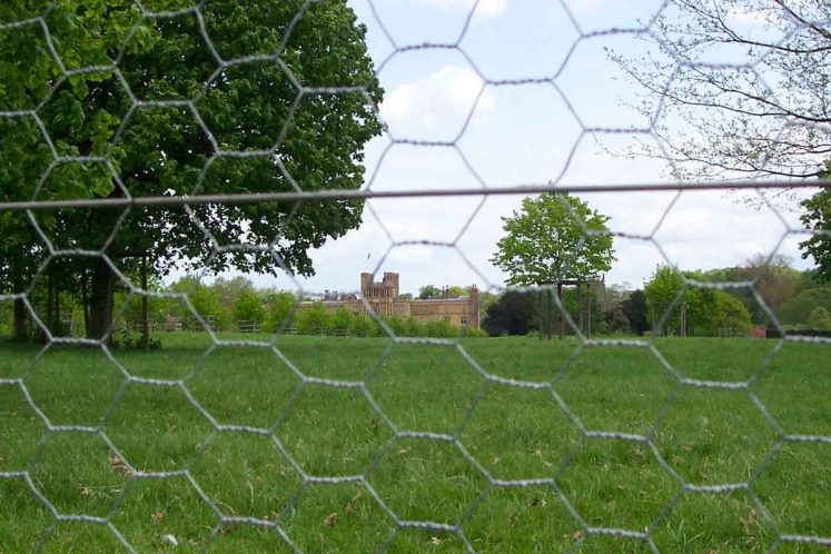 Rabbit Netting