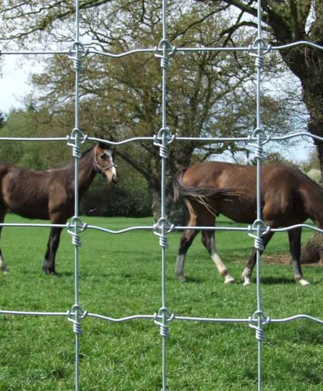 Horse Netting