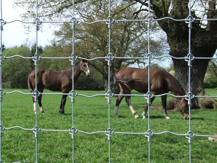 Horse Netting