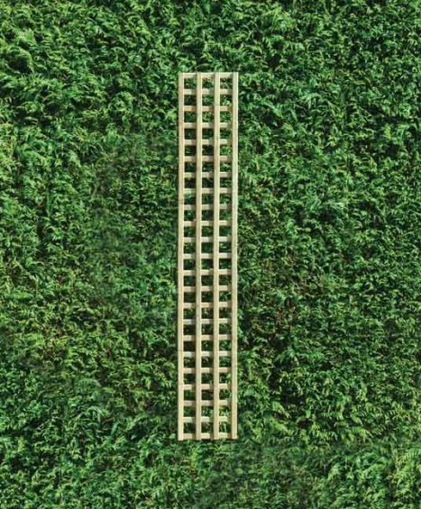 Square Trellis