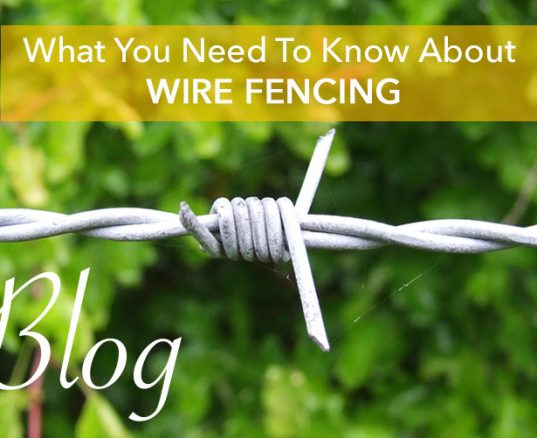 Best Climbing Plants For Your Garden - Four Seasons Fencing Shop