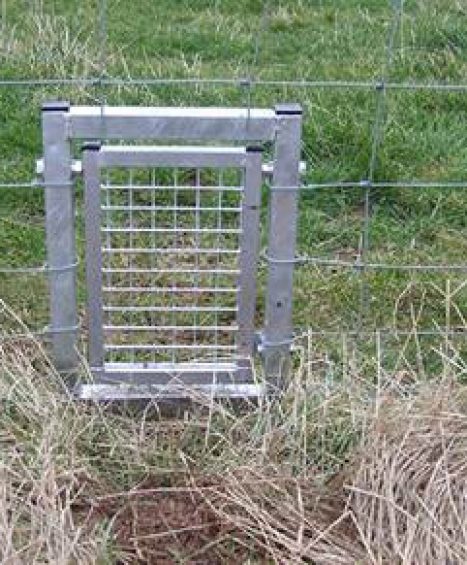 Badger Gate