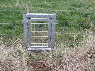 badger gate