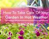 How to care for your Garden in Hot Weather