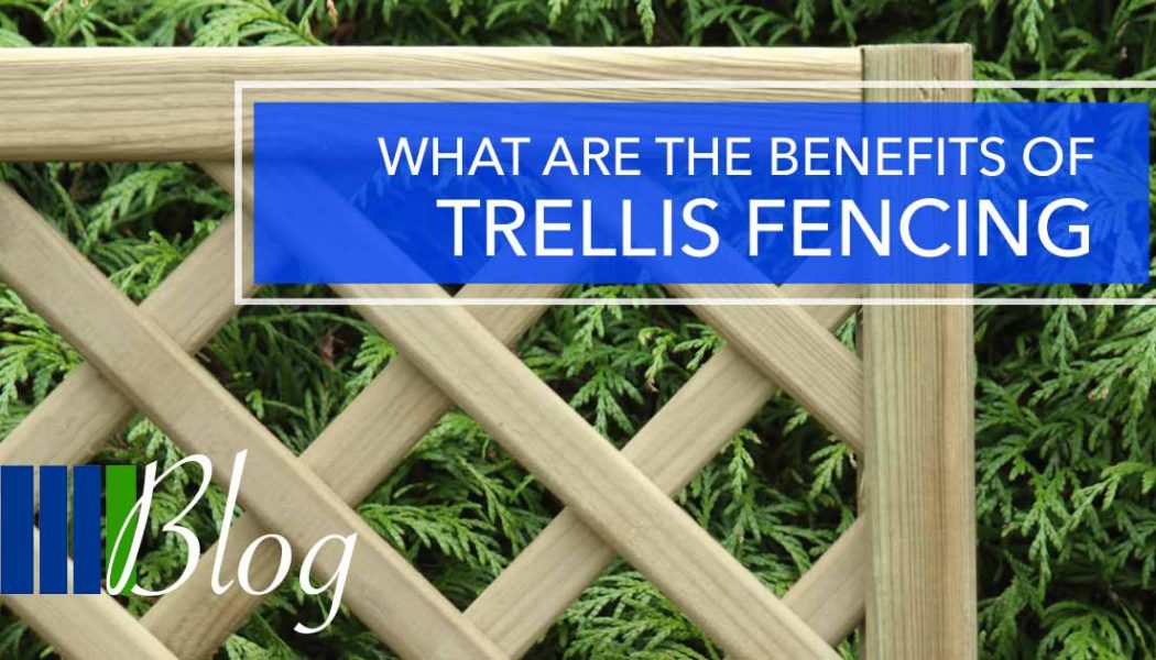 What are the benefits of Trellis Fencing? Blog FSF Fencing Supplies