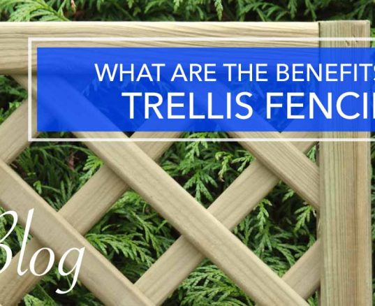 What are the benefits of Trellis Fencing?
