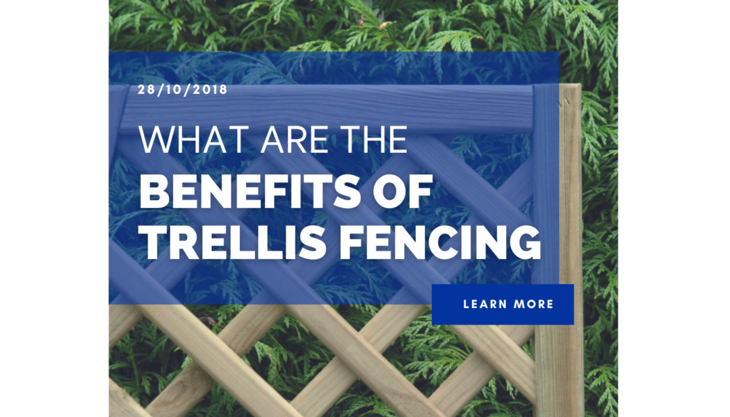 What are the benefits of Trellis Fencing?