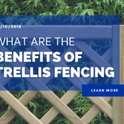 What are the benefits of Trellis Fencing?