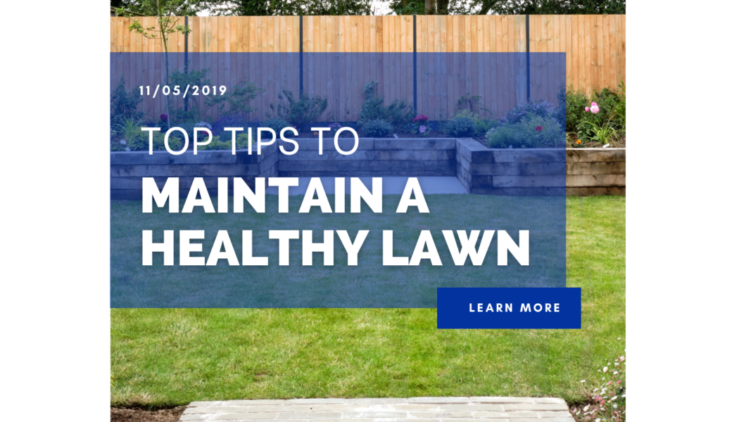 Top Tips To Maintain A Healthy Lawn