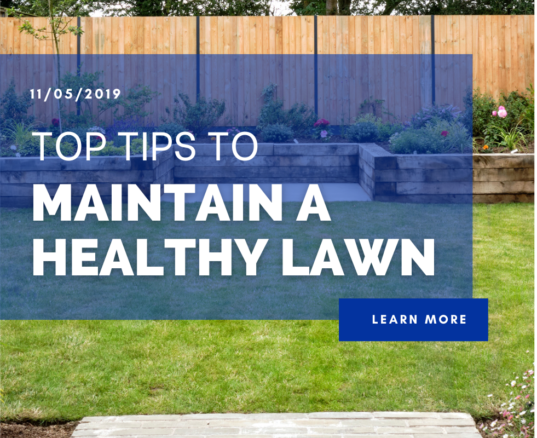 Top Tips To Maintain A Healthy Lawn