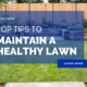 Top Tips To Maintain A Healthy Lawn