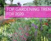 Top Gardening Trends for 2020