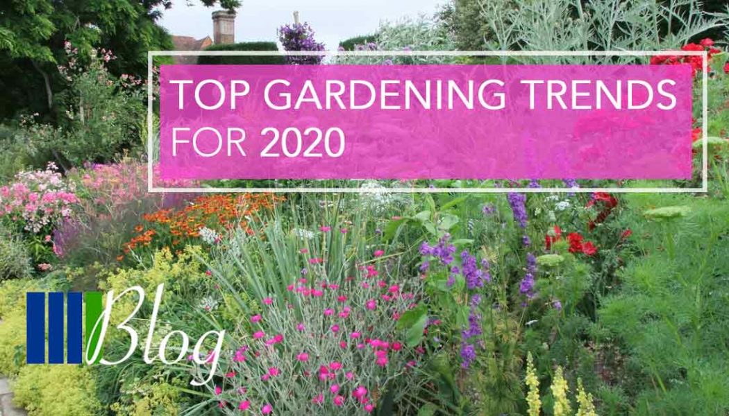 Top Gardening Trends for 2020