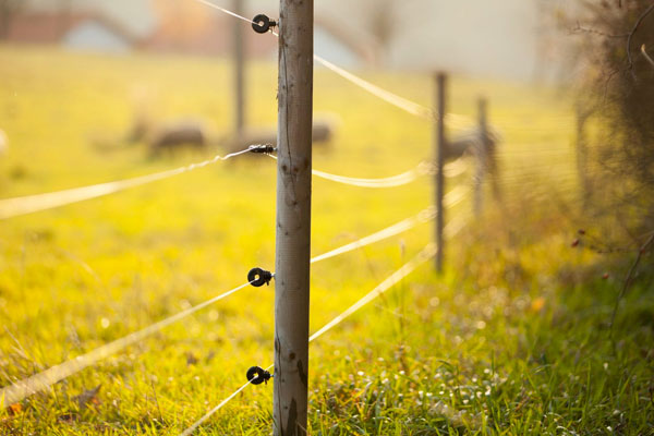 Electric Agricultural Fencing in Ashford Kent