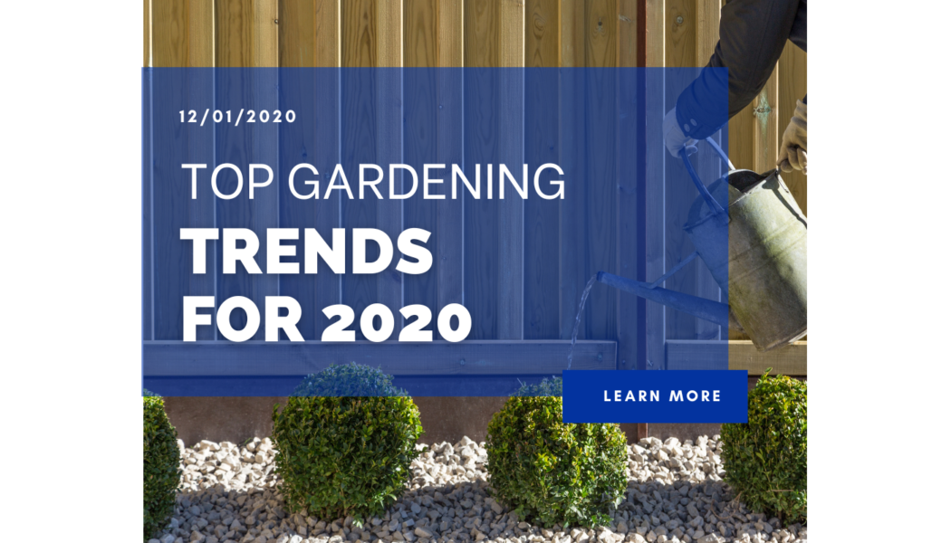 Top Gardening Trends for 2020