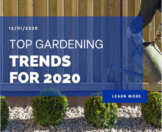 Top Gardening Trends for 2020