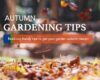 Autumn Gardening Tips