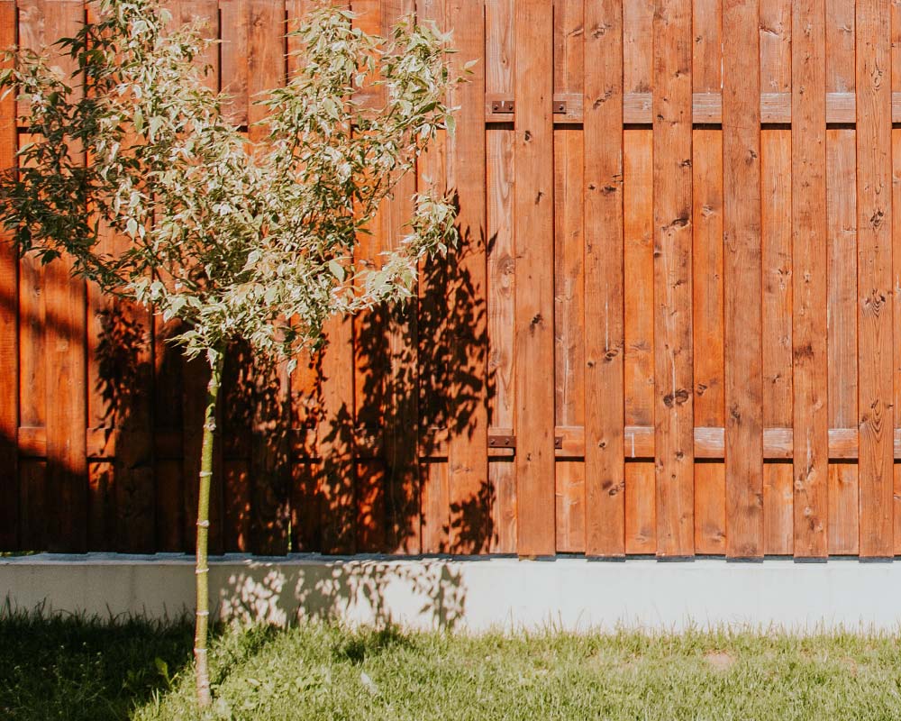 Wood Treatment in Ashford Kent