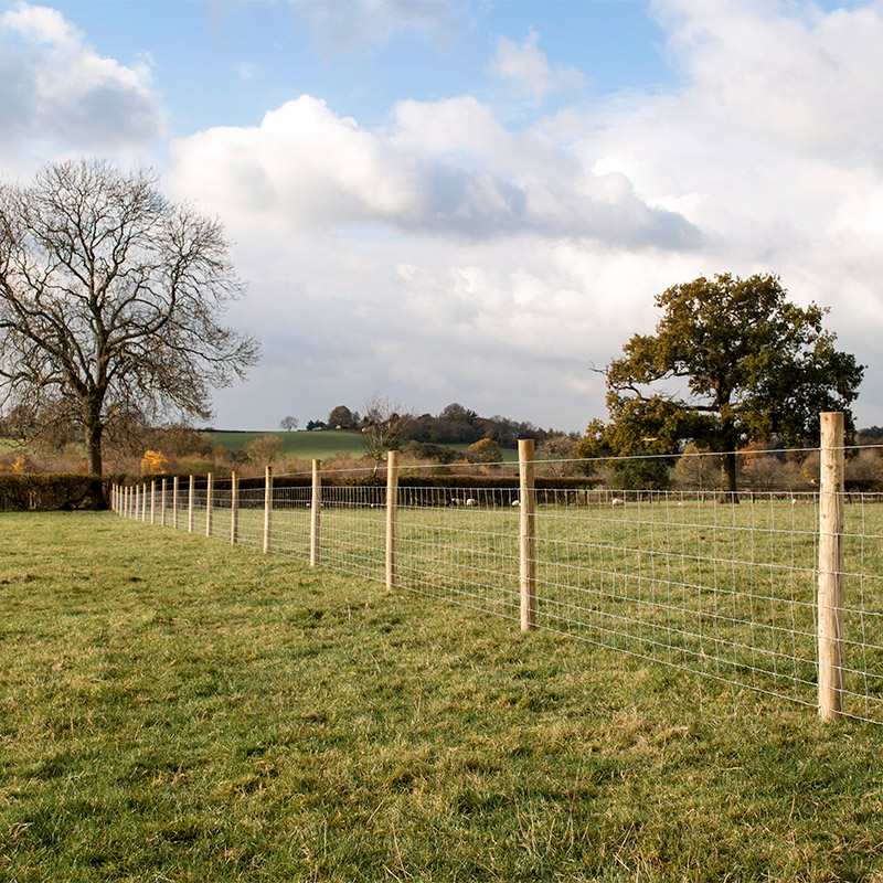 Wire Fencing in Ashford, Kent