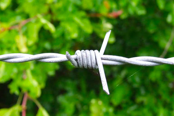 Barbed Wire in Ashford, Kent