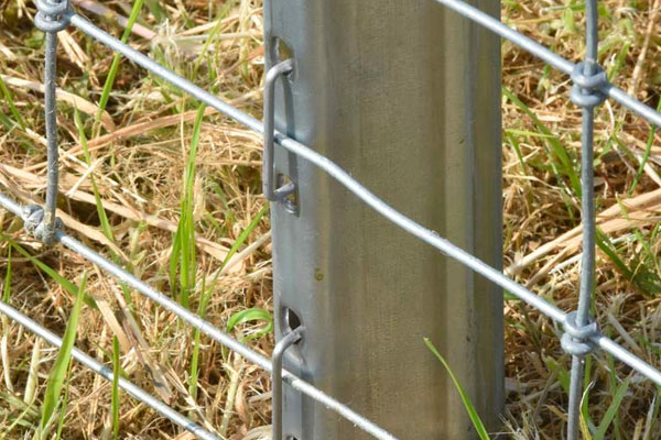 Wire Fencing Posts in Ashford Kent