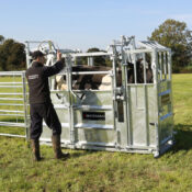 Ambassador Cattle Crush