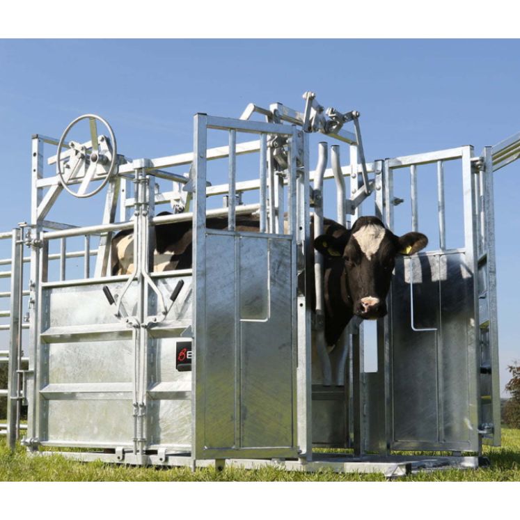 Agricultural Fencing Buy Online from FSF Fencing Supplies Kent