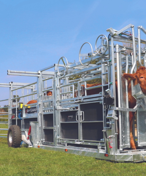 Cattle Handling Trailer