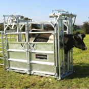 Devon Cattle Crush