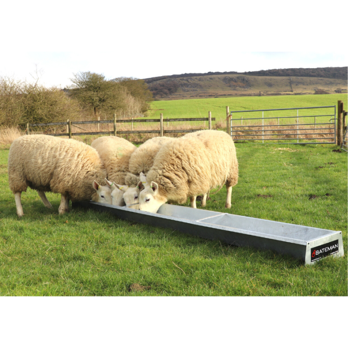 Floor Feeding Sheep Trough