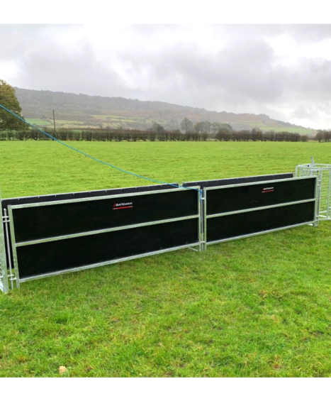 Standard Sheep Handling Starter Race