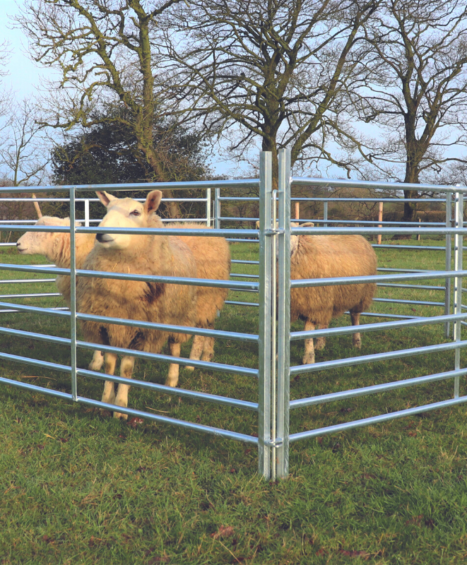Sheep Hurdles – With Coupling Rods