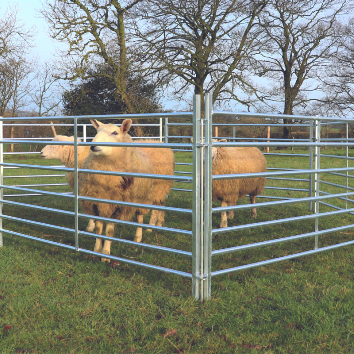 Sheep Hurdles – With Coupling Rods