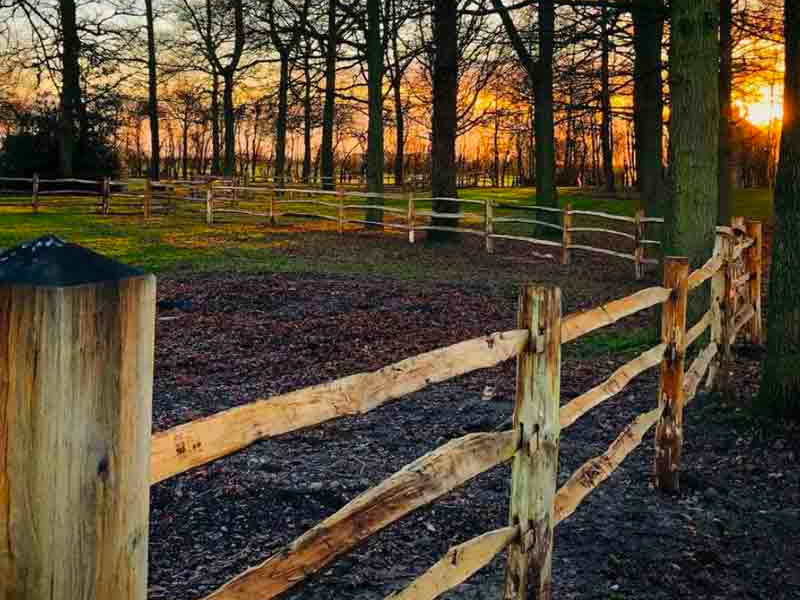 Chestnut Fencing