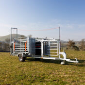 Sheep Handling Trailer