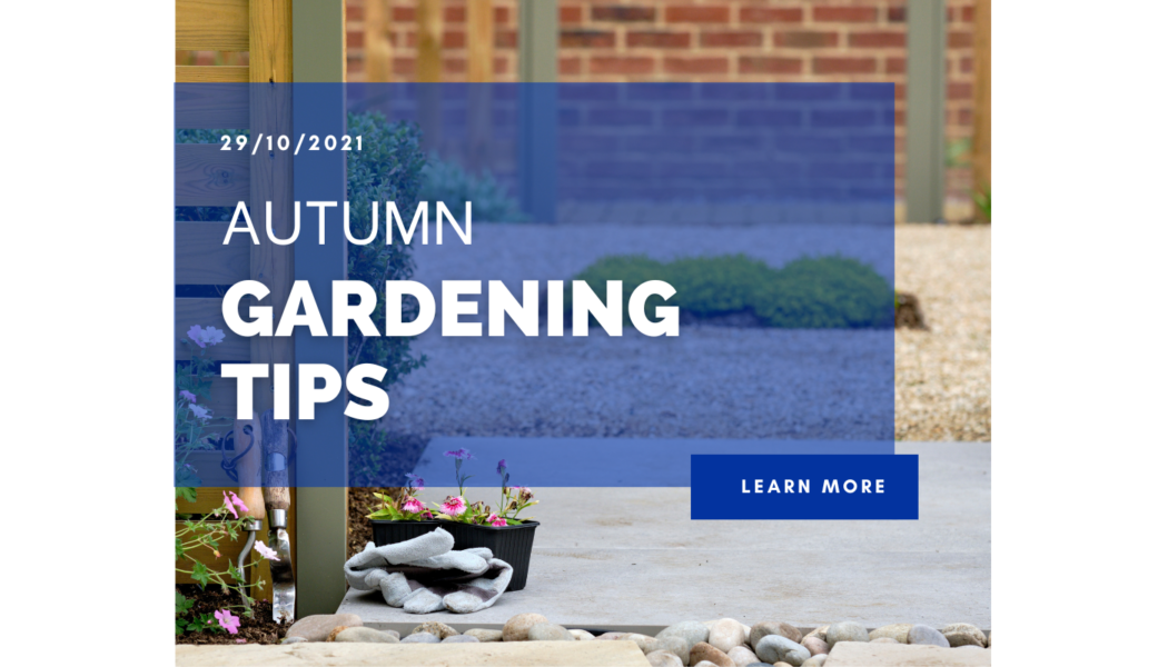 Autumn Gardening Tips