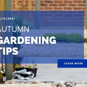 Autumn Gardening Tips