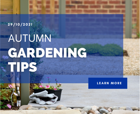 Autumn Gardening Tips