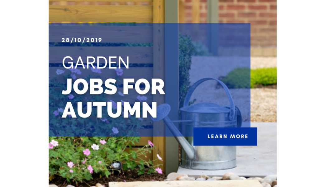 Garden Jobs for Autumn