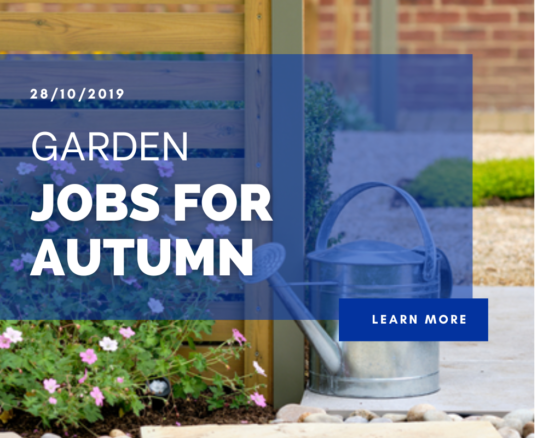 Garden Jobs for Autumn