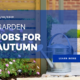 Garden Jobs for Autumn