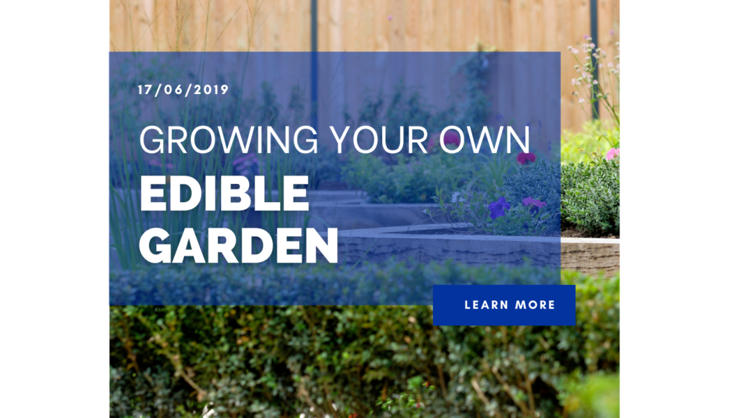 Growing Your Own Edible Garden