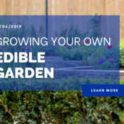 Growing Your Own Edible Garden