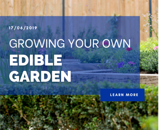 Growing Your Own Edible Garden